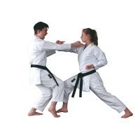 Kaiten Revolution Spirit Slim 